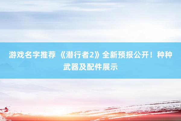 游戏名字推荐 《潜行者2》全新预报公开！种种武器及配件展示