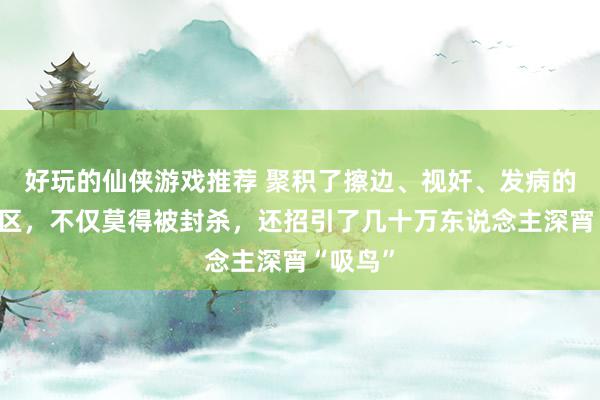 好玩的仙侠游戏推荐 聚积了擦边、视奸、发病的视频分区，不仅莫得被封杀，还招引了几十万东说念主深宵“吸鸟”