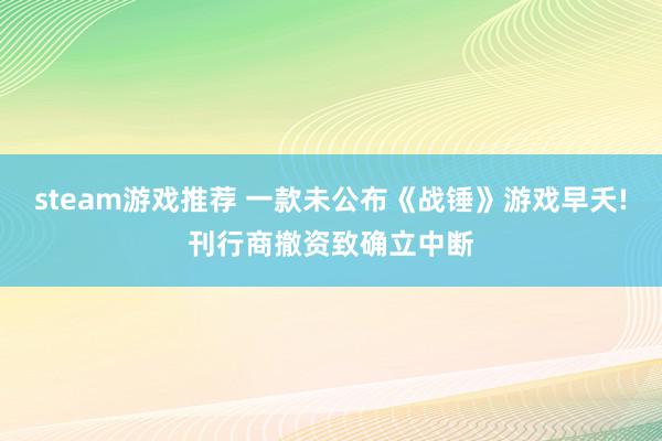 steam游戏推荐 一款未公布《战锤》游戏早夭!刊行商撤资致确立中断